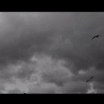 Lisa Gerrard - Seven Seas