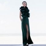 Marius Janusauskas AW2014-15