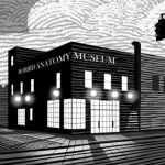 Morbid Anatomy Museum - Image: Morbid Anatomy