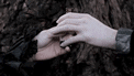 Cocorosie - Gallows