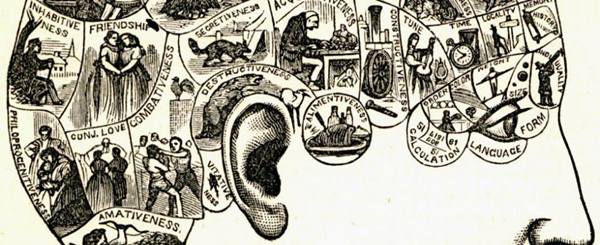 Phrenology Chart